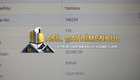 satılık elma bahçesi